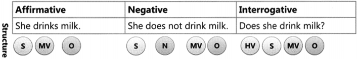 Present Tense Exercise for Class 6 CBSE 1