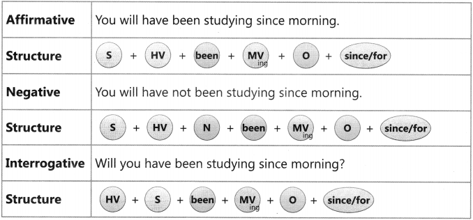 Present Tense Exercise for Class 6 CBSE 14