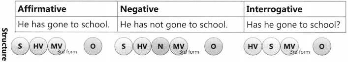 Present Tense Exercise for Class 6 CBSE 3