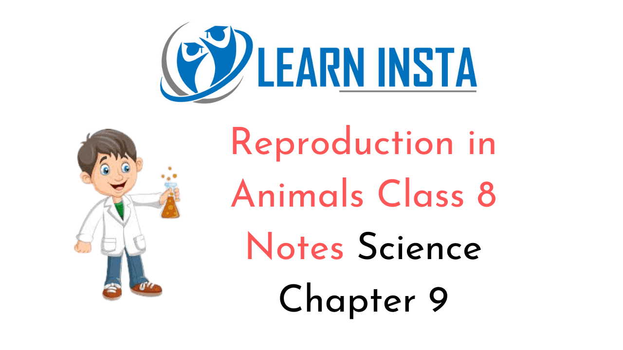 Reproduction in Animals Class 8 Notes Science Chapter 9