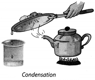 Separation of Substances Class 6 Notes Science Chapter 5 6