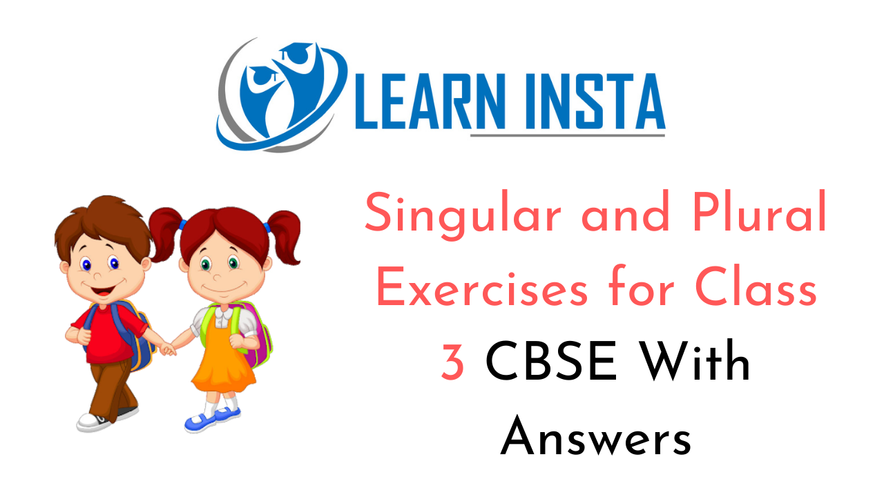 Singular and Plural Exercises for Class 3 CBSE with Answers