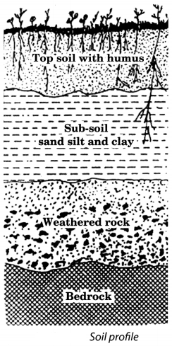 Soil Class 7 Extra Questions and Answers Science Chapter 9 1