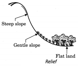 Soil Class 7 Extra Questions and Answers Science Chapter 9 2