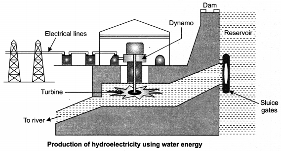 Sources of Energy Class 10 Notes Science Chapter 14 1