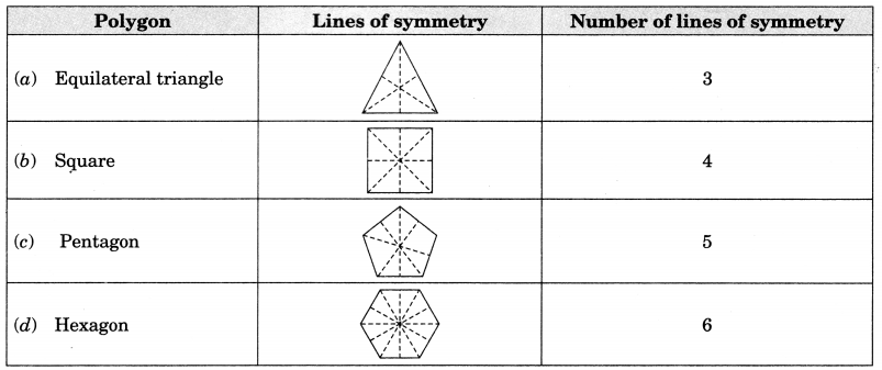 class 7 maths chapter 12 symmetry notes