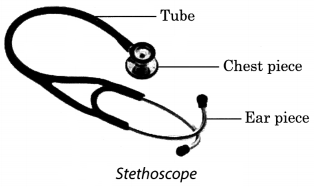 Transportation in Animals and Plants Class 7 Notes Science Chapter 11