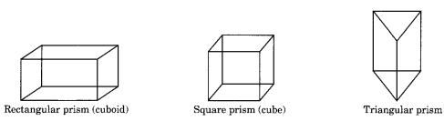 Visualising Solid Shapes Class 8 Notes Maths Chapter 10 .1