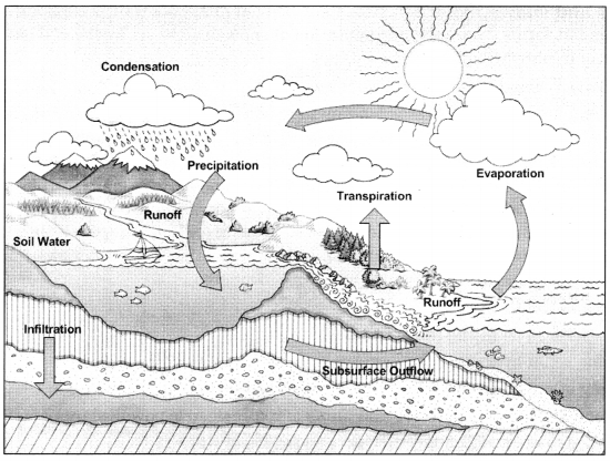 Water Class 6 Extra Questions and Answers Science Chapter 14 1