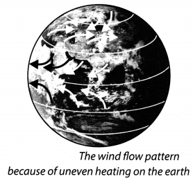 Winds, Storms and Cyclones Class 7 Extra Questions and Answers Science Chapter 8 1