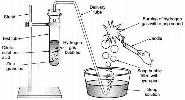 Acids, Bases and Salts Class 10 Extra Questions with Answers Science Chapter 2, 21