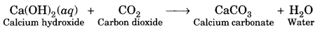 Acids, Bases and Salts Class 10 Extra Questions with Answers Science Chapter 2, 29