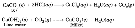 Acids, Bases and Salts Class 10 Extra Questions with Answers Science Chapter 2, 31