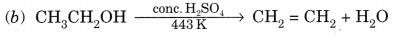 Carbon and its Compounds Class 10 Extra Questions with Answers Science Chapter 4, 20