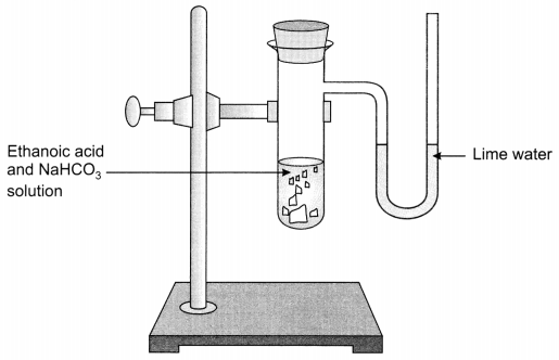 Carbon and its Compounds Class 10 Extra Questions with Answers Science Chapter 4, 39