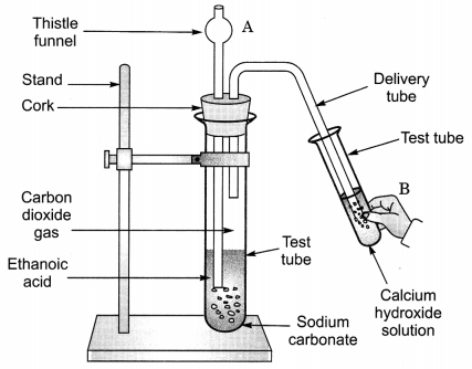 Carbon and its Compounds Class 10 Extra Questions with Answers Science Chapter 4, 42