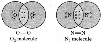 Carbon and its Compounds Class 10 Extra Questions with Answers Science Chapter 4, 8