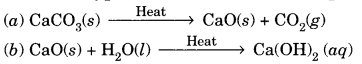 Chemical Reactions and Equations Class 10 Extra Questions with Answers Science Chapter 1, 24