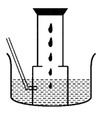 Chemical Reactions and Equations Class 10 Extra Questions with Answers Science Chapter 1, 29