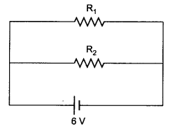 Electricity Class 10 Extra Questions with Answers Science Chapter 12, 22