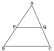 MCQ Questions for Class 10 Maths Chapter 6 Triangles with Answers 5