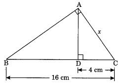 MCQ Questions for Class 10 Maths Chapter 6 Triangles with Answers 9