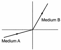 MCQ Questions for Class 10 Science Chapter 10 Light Reflection and Refraction with Answers 2