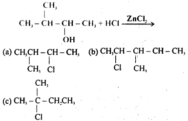 MCQ Questions for Class 12 Chemistry Chapter 10 Haloalkanes and Haloarenes with Answers 2