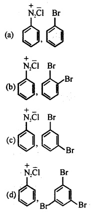 MCQ Questions for Class 12 Chemistry Chapter 10 Haloalkanes and Haloarenes with Answers 4