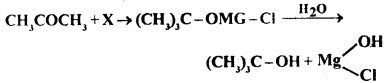 MCQ Questions for Class 12 Chemistry Chapter 12 Aldehydes, Ketones and Carboxylic Acids with Answers 2