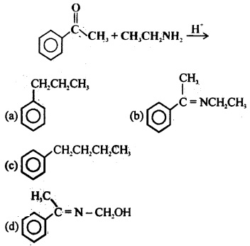 MCQ Questions for Class 12 Chemistry Chapter 12 Aldehydes, Ketones and Carboxylic Acids with Answers 8