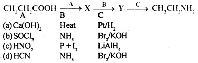 MCQ Questions for Class 12 Chemistry Chapter 13 Amines with Answers 2