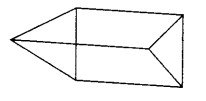 MCQ Questions for Class 6 Maths Chapter 5 Understanding Elementary Shapes with Answers 11