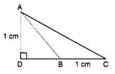 MCQ Questions for Class 7 Maths Chapter 11 Perimeter and Area with Answers 4