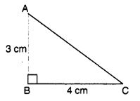 MCQ Questions for Class 7 Maths Chapter 11 Perimeter and Area with Answers 5