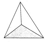 MCQ Questions for Class 7 Maths Chapter 15 Visualising Solid Shapes with Answers 9