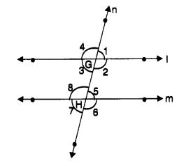 MCQ Questions for Class 7 Maths Chapter 5 Lines and Angles with Answers 10