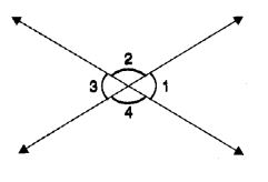 MCQ Questions for Class 7 Maths Chapter 5 Lines and Angles with Answers 13