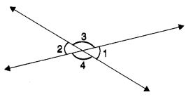 MCQ Questions for Class 7 Maths Chapter 5 Lines and Angles with Answers 14