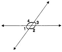 MCQ Questions for Class 7 Maths Chapter 5 Lines and Angles with Answers 15