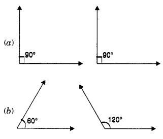 MCQ Questions for Class 7 Maths Chapter 5 Lines and Angles with Answers 3