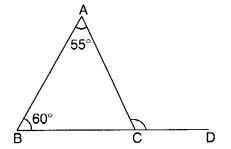 MCQ Questions for Class 7 Maths Chapter 6 The Triangle and its Properties with Answers 1