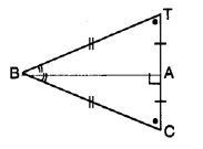 MCQ Questions for Class 7 Maths Chapter 7 Congruence of Triangles with Answers 6