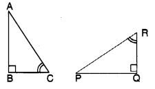 MCQ Questions for Class 7 Maths Chapter 7 Congruence of Triangles with Answers 8