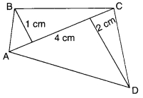 MCQ Questions for Class 8 Maths Chapter 11 Mensuration with Answers 21