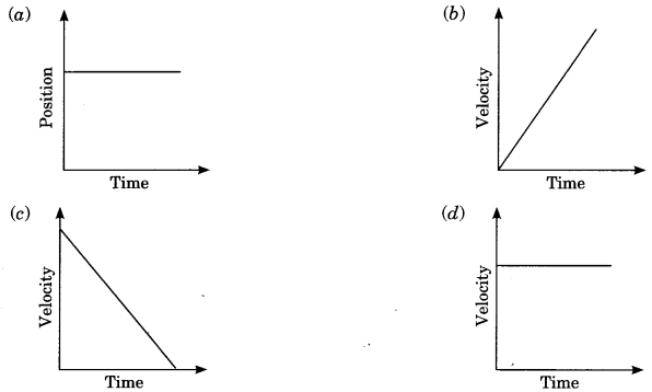 MCQ Questions for Class 9 Science Chapter 8 Motion with Answers 7