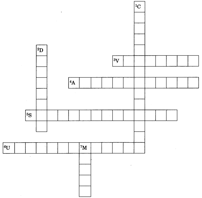 MCQ Questions for Class 9 Science Chapter 8 Motion with Answers 9