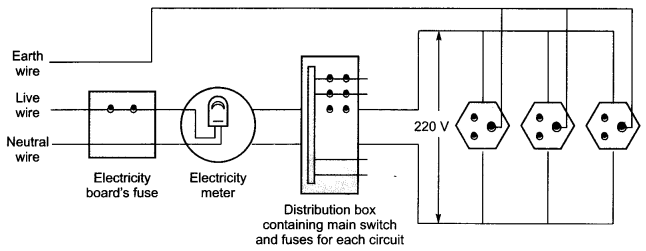 Magnetic Effects of Electric Current Class 10 Extra Questions with Answers Science Chapter 13, 1