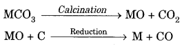 Metals and Non-metals Class 10 Extra Questions with Answers Science Chapter 3, 20