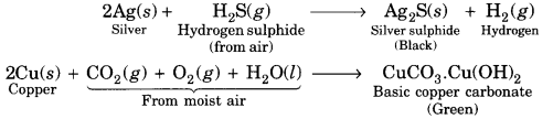 Metals and Non-metals Class 10 Extra Questions with Answers Science Chapter 3, 23